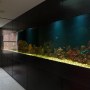 Notting Hill Residence | Fish tank | Interior Designers