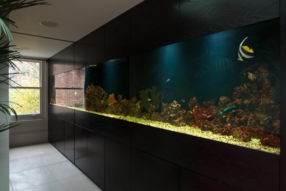 Notting Hill Residence | Fish tank | Interior Designers