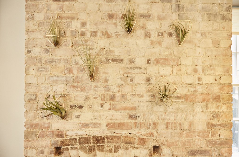 Offices Soho | Wall planter detail  | Interior Designers