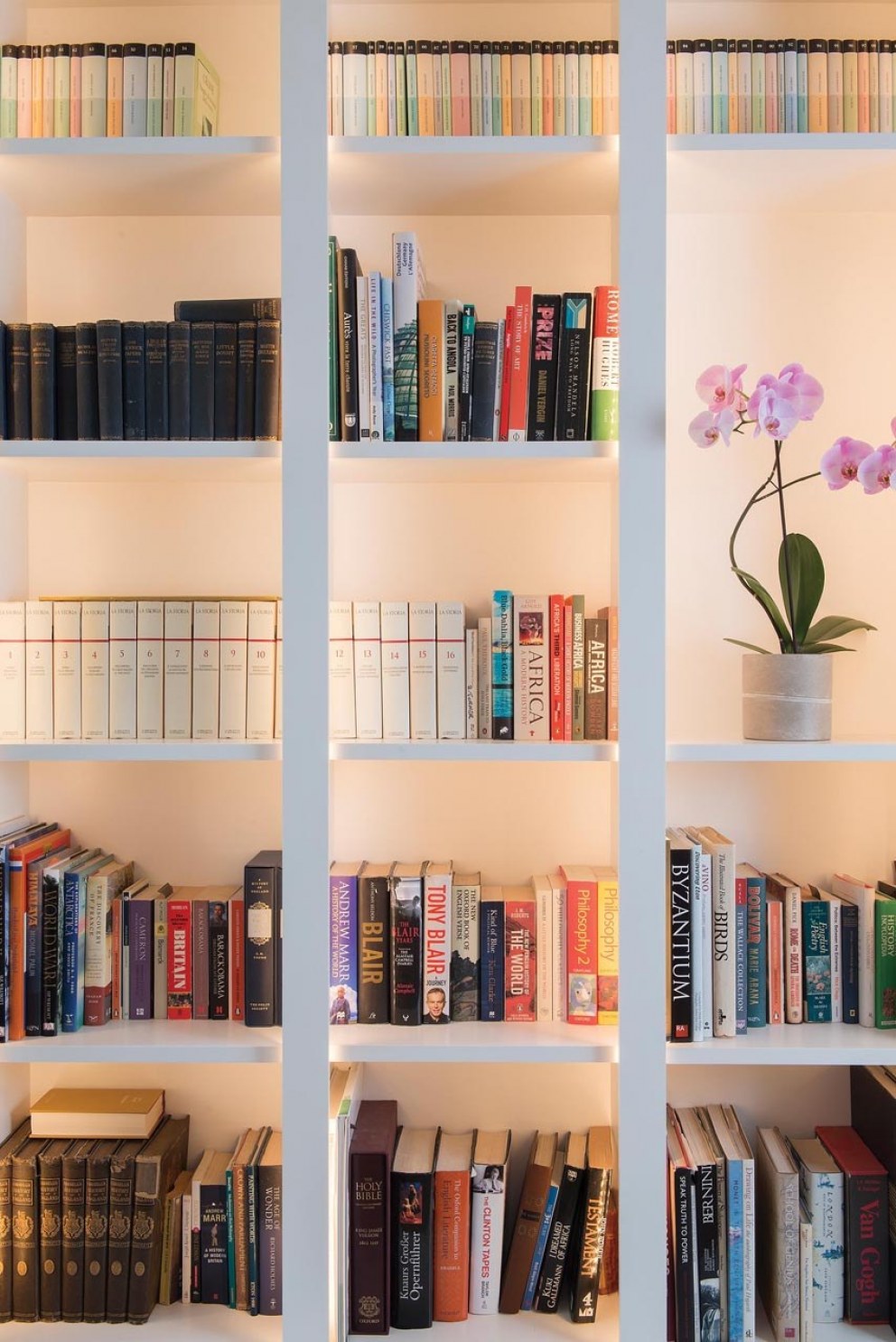 Chiswick Home Extension | Bookcase close-up | Interior Designers