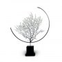 Designer's Atelier Home Accessories Collection | Spiky Black Sea Fan | Interior Designers