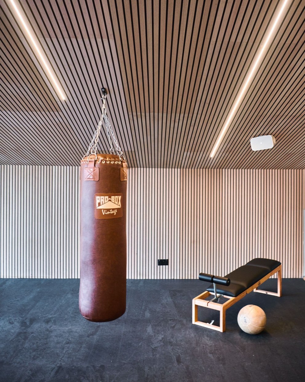 Home gym and entertainment space | Gym | Interior Designers